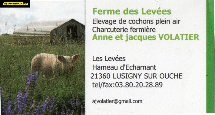 Ferme des Levées  elvage de cochons en plein air