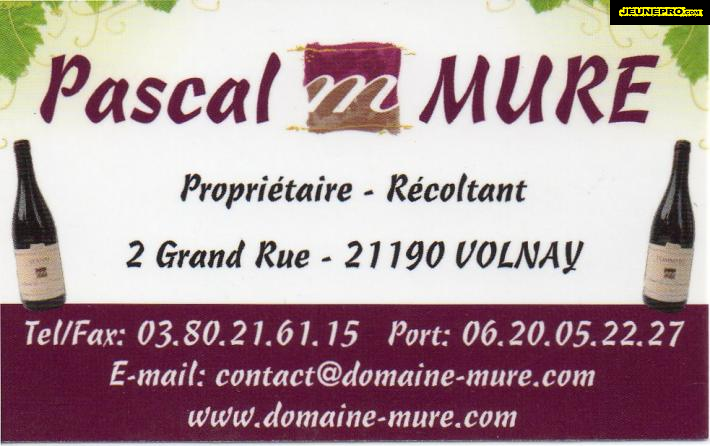 Pascal MURE Propriétaire-Récoltant
