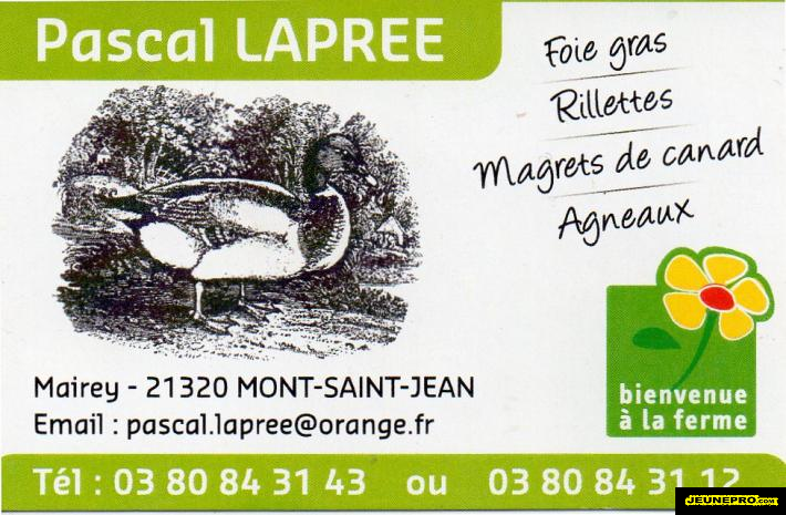 Pascal LAPREE ,  Foie gras