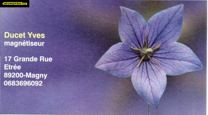 Ducet Yves magnétiseur