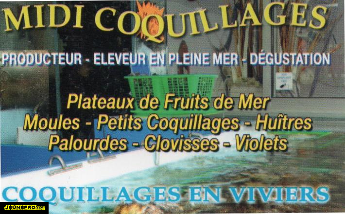 MIDI COQUILLAGES