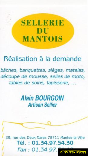 Sellerie du Mantois