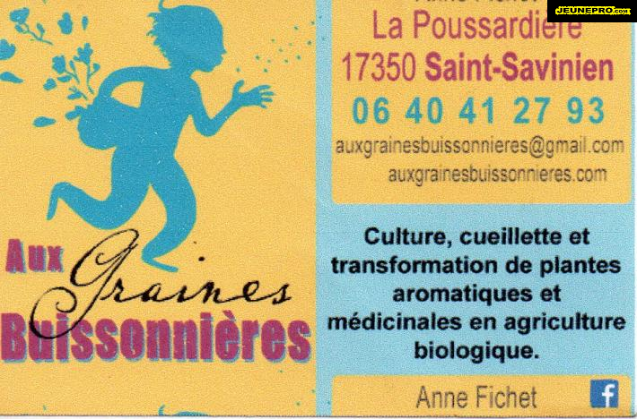 Aux GRAINES  BUISSONIERES